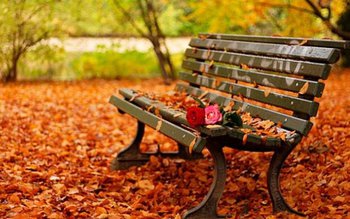 Când se răceşte vremea. Prognoza …