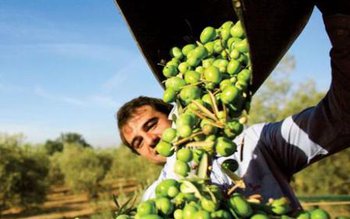 Zeci de oameni din județul …