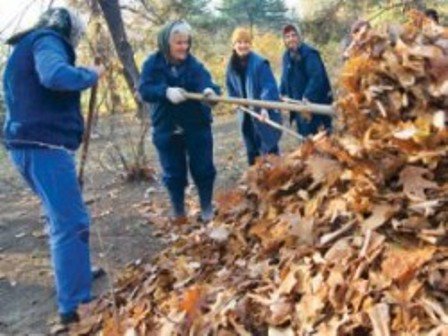 Urban Serv Botoșani: În atenția cetățenilor cu privire la depozitarea frunzelor uscate!