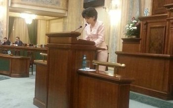 Doina Federovici: „Programul de garantare …