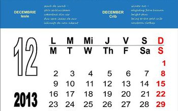 Fenomen neobișnuit în decembrie 2013. …