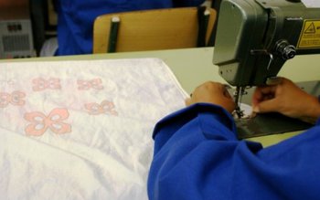 Programe de formare organizate de …