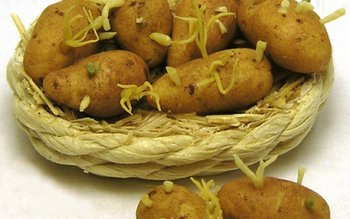 Sigur nu știai! Ce se …