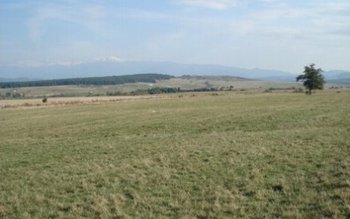 Mai mult teren gratis pentru …