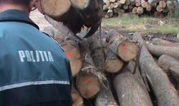 S-a ales cu amendă și …