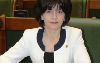 Senatorul PSD Doina Federovici: Salarizarea …