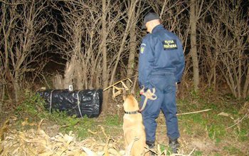 Câinele Nira le-a dat de …