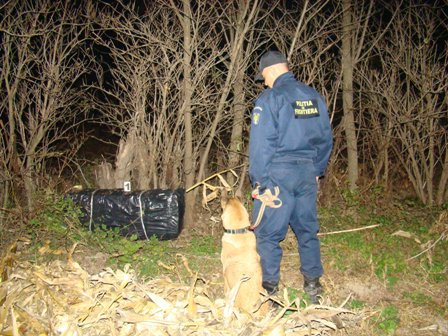 Câinele Nira le-a dat de urmă contrabandiştilor de la Bădiuţi 