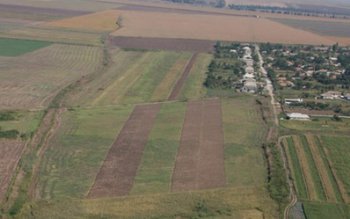 Investitori japonezi din industria automobilistică …