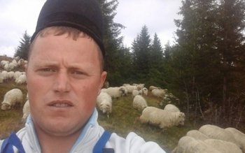 Ghiţă Ciobanul se apucă de …