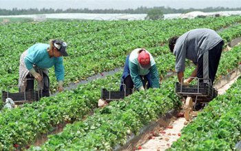 AJOFM Botoșani prezintă o ofertă …
