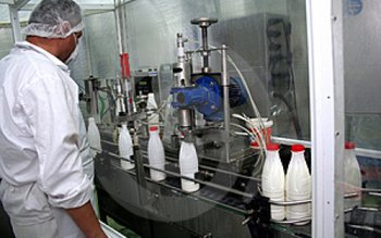 Zeci de fabrici de lapte …