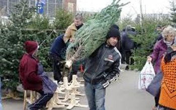 Sancționați pentru comerț ilegal cu …