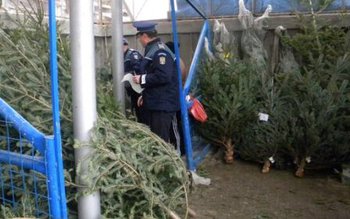 Prefectul a emis un ordin …