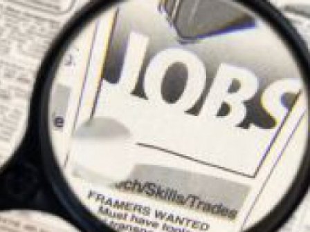 AJOFM Botoșani ofertă de 750 de locuri de muncă în Spania