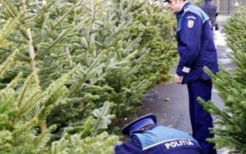 Mai mulți comercianți s-au ales …