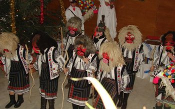 Puhoi de colindători la Palatul …