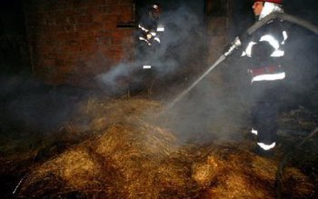 45 tone de furaje distruse …