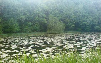 Consiliul Județean Botoșani a aprobat …