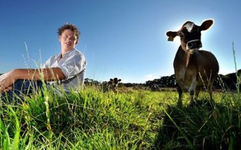 G.A.L. Codrii Herței din localitatea …