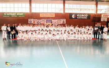 Campionii karate-do din județ au …