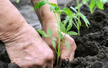 Un nou regulament european în …