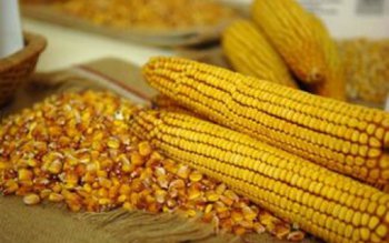 Din cauza distanței față de …