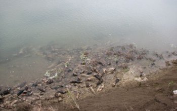 Nu s-au constatat nereguli la …