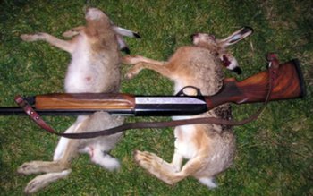 Doi bărbați prinşi în toiul …