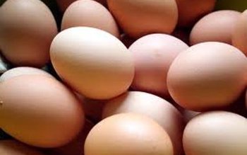 Câteva lucruri neștiute despre ouă