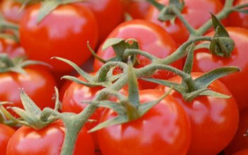 Leguma care ţine cancerul departe