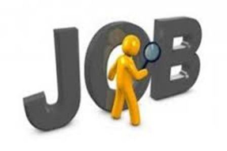 AJOFM Botoșani: 111 locuri de muncă disponibile în această săptămână