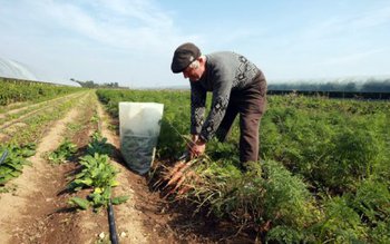 Creditarea a devenit puțin mai …