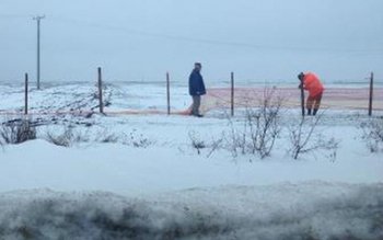 Sute de parazăpezi au dispărut …