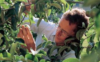 Atenție, fermieri! Se falsifică produsele …