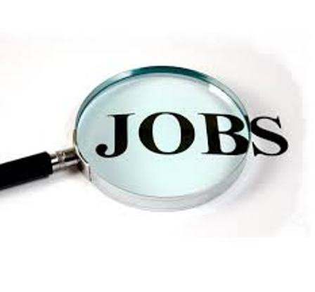 AJOFM Botoșani: 126 locuri de muncă disponibile în această săptămână