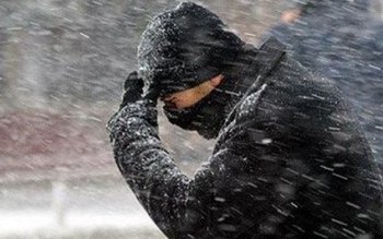 Ger în tot județul Botoşani. …