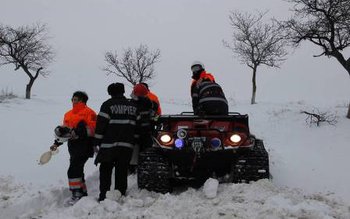 Gravidă din Darabani adusă cu …