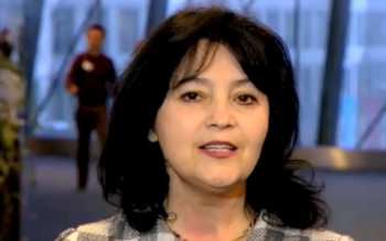 Minodora Cliveti: Comisia pentru ocuparea …