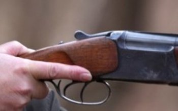 Câinii de la Vorniceni au …