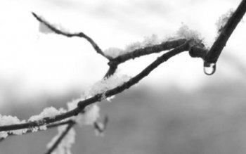 Prognoza meteo pe două săptămâni: …