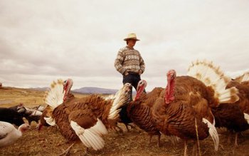 Campanie de informare APIA: „Eşti …