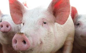 Botoșaniul se află printre cele …