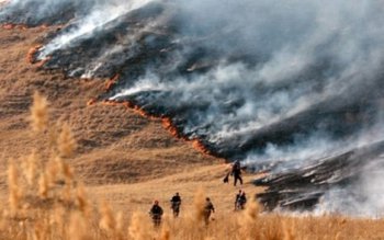Stop incendiilor de vegetaţie uscată!