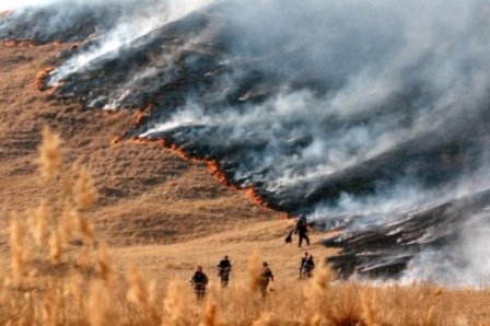 Stop incendiilor de vegetaţie uscată!