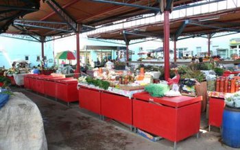 Piaţa Viilor intră în reabilitare. …