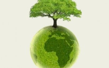 Direcția Silvică Botoșani: S-a dat …