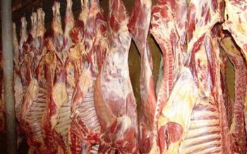 Evaziune uriaşă descoperită de inspectorii …