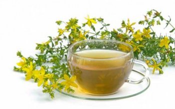 Sunătoarea, planta cu efecte neaşteptate. …