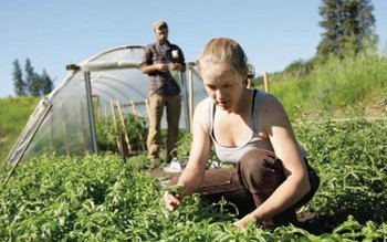 8 miliarde de euro destinate …